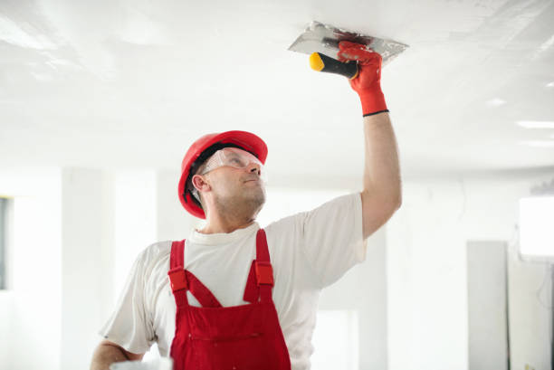 Best Fire-Damaged Drywall Repair  in Chincoteague, VA